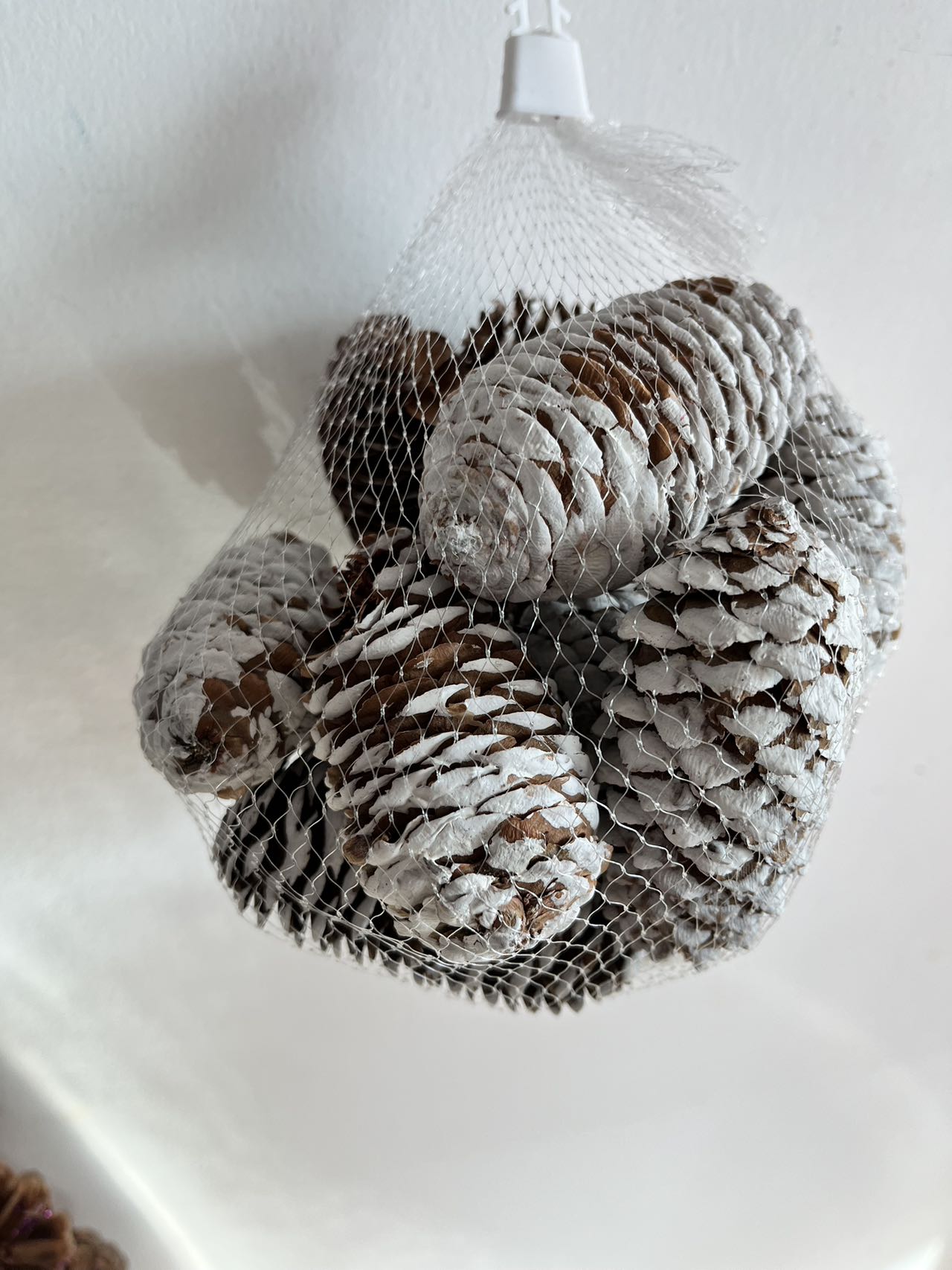 Decorated with Pinecones 5 to 6 pieces