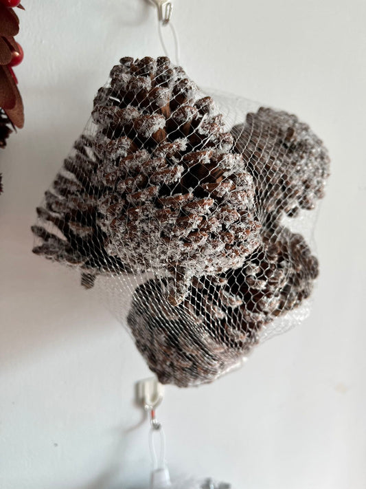 Decorated with Pinecones 5 to 6 pieces